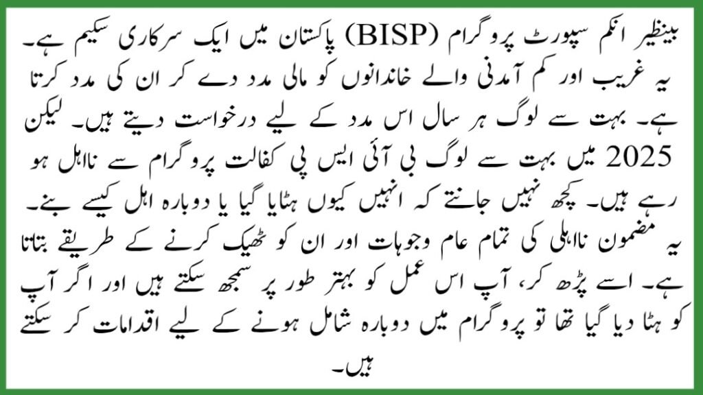 BISP Kafalat Disqualification