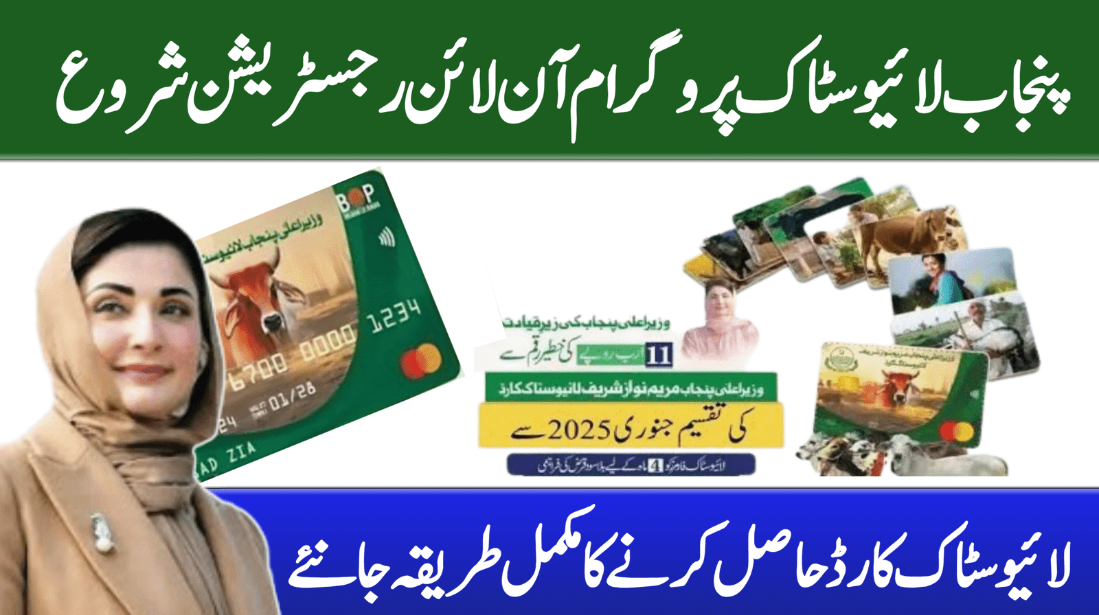 CM Punjab Livestock Program Online Registration