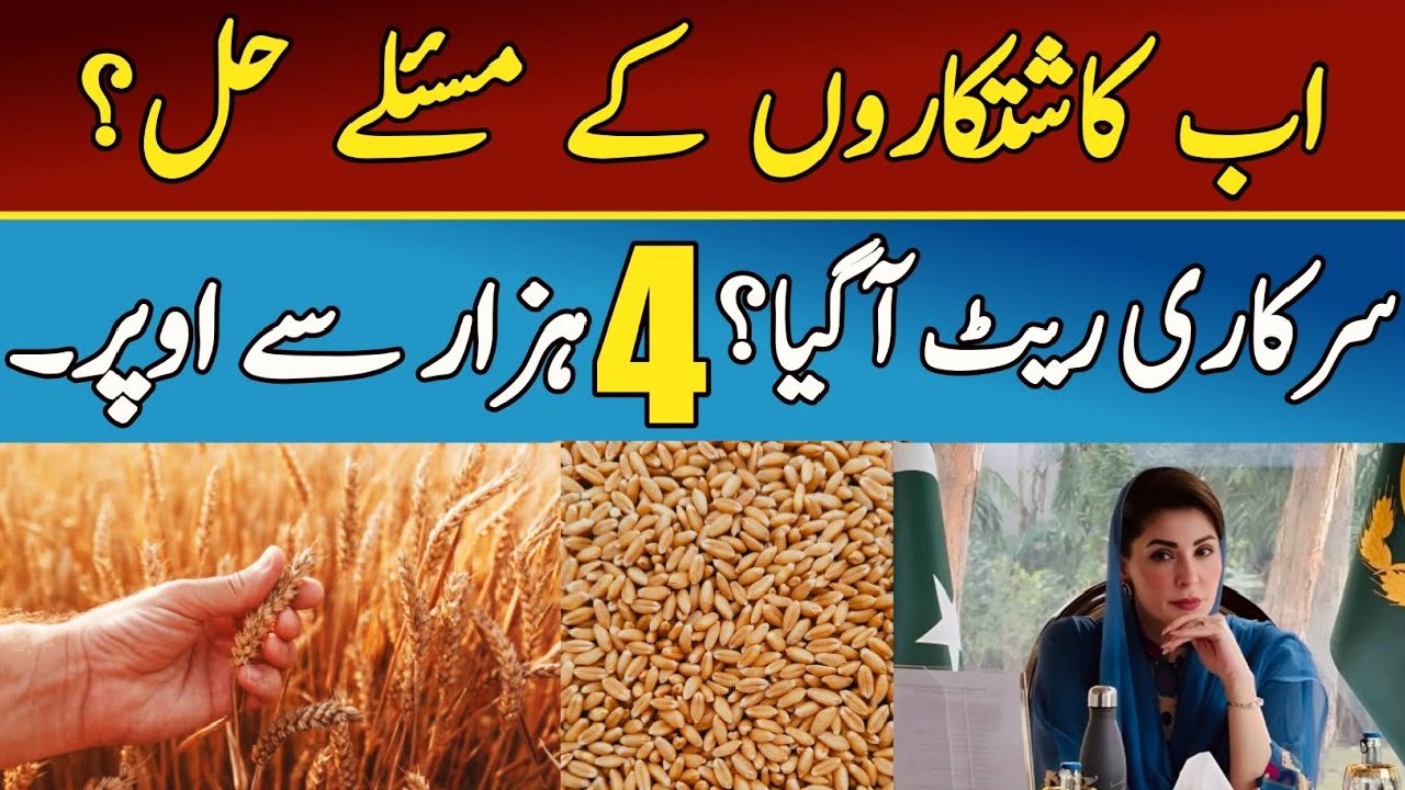 Price of Wheat