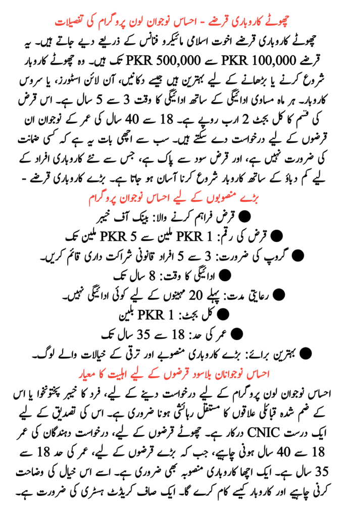 Ehsaas Naujawan Interest-Free Loan Program