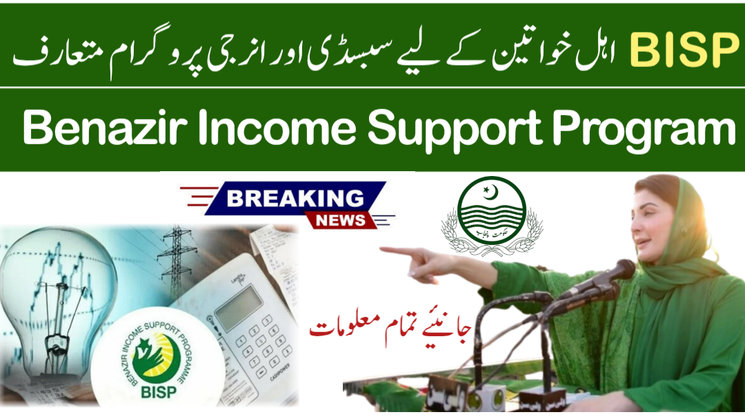 BISP Energy Subsidy Plan 2025: