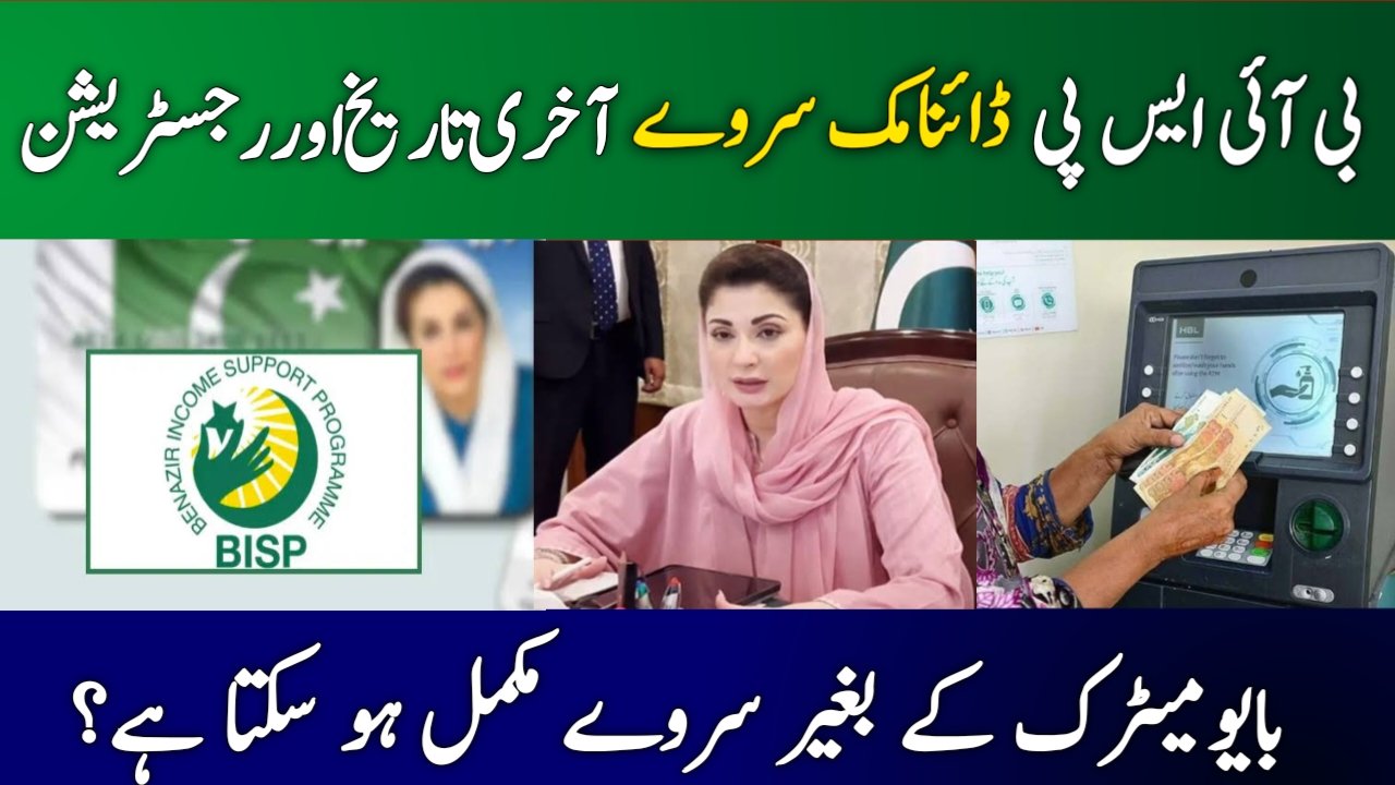 BISP Dynamic Survey