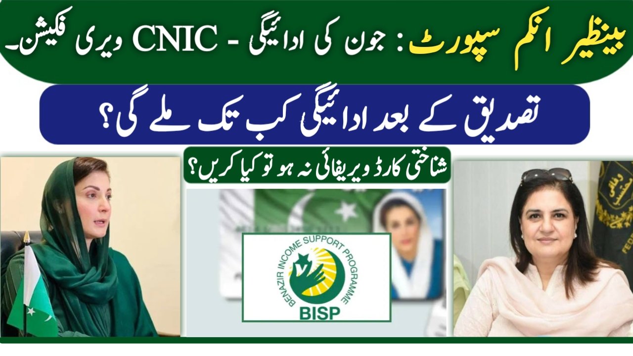 8171 CNIC Verification BISP Payment