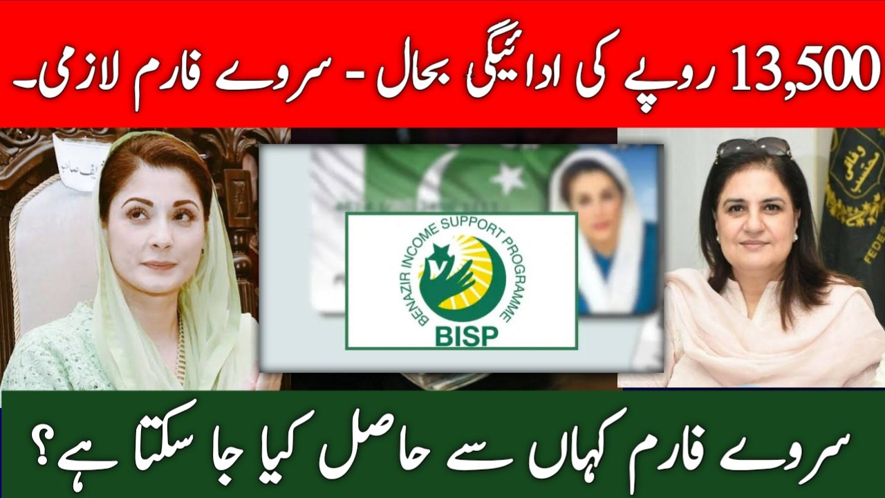 BISP Survey