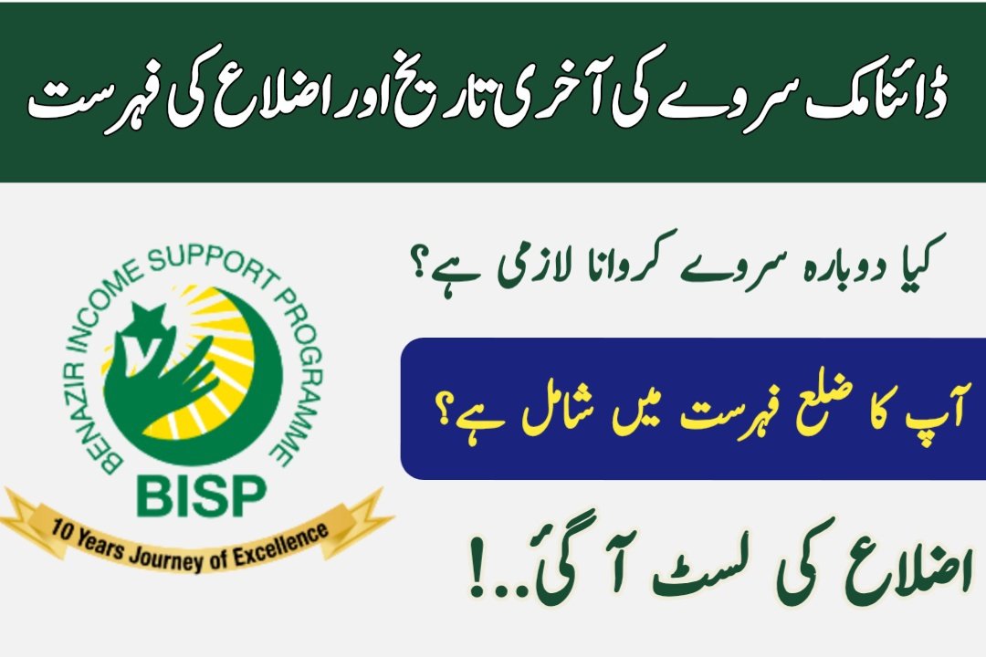BISP Dynamic Survey June