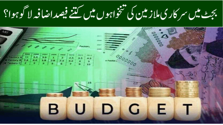 Grade-Wise Salary Raise in Budget 2025-26