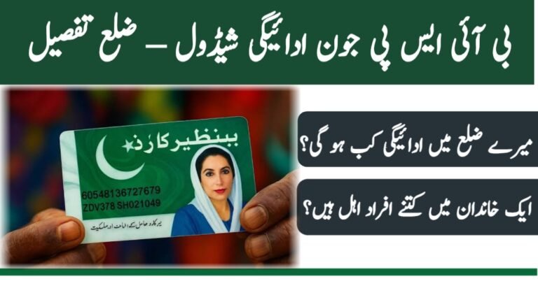 BISP June 2025 Payment Schedule