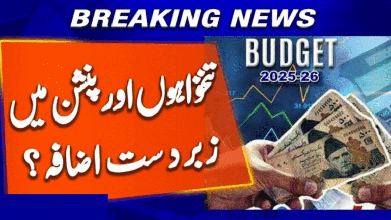 Punjab Govt Announces 10% Salary and 7% Pension Increase in 2025 Budget