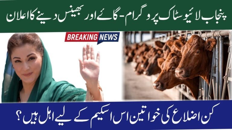 Punjab Livestock Program