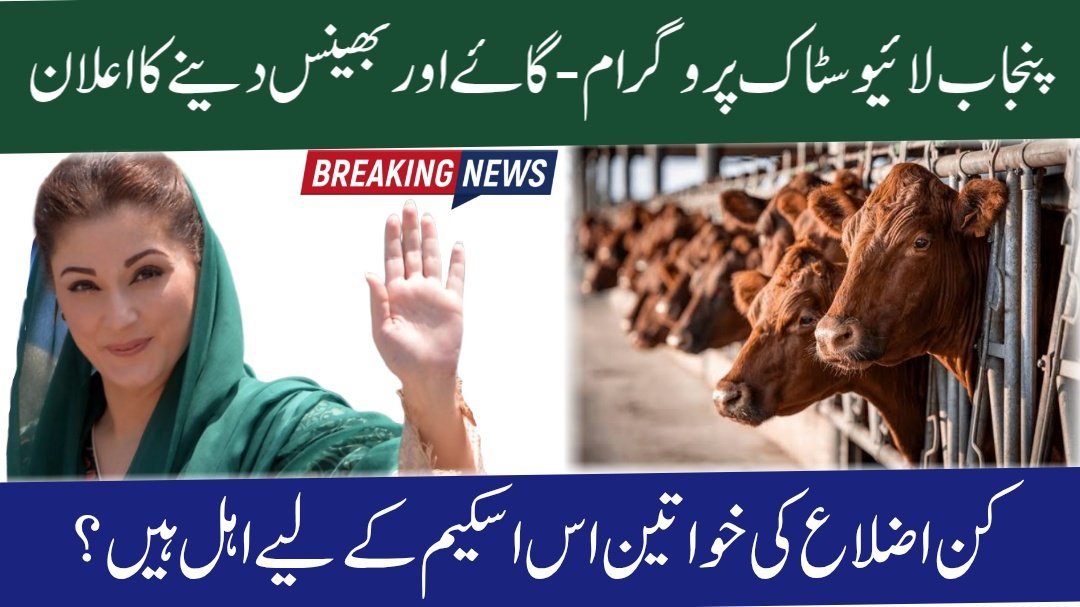 Punjab Livestock Program