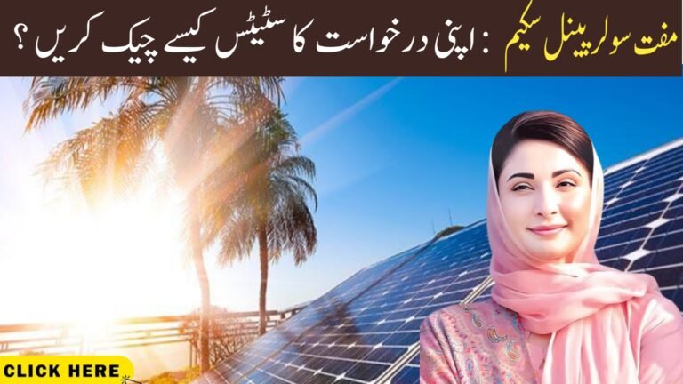 CM Punjab Solar Scheme Result 2025 – Online Status & PDF Beneficiary List
